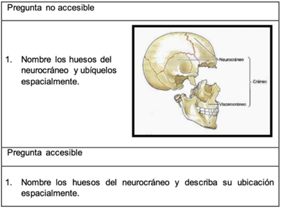 Preguntas sobre los huesos del neurocráneo